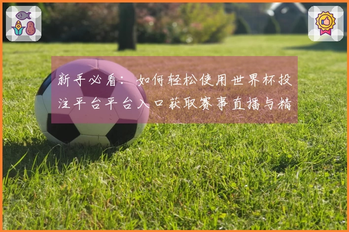新手必看：如何轻松使用世界杯投注平台平台入口获取赛事直播与精彩功能