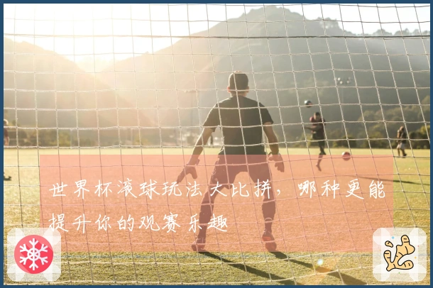 世界杯滚球玩法大比拼，哪种更能提升你的观赛乐趣