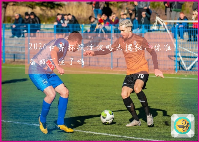 2026世界杯投注攻略大揭秘,你准备好下注了吗