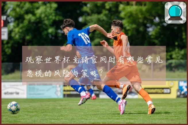 观察世界杯竞猜官网时有哪些常见忽视的风险与策略?