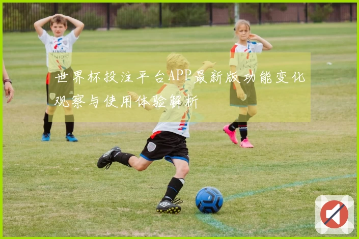 世界杯投注平台APP最新版功能变化观察与使用体验解析