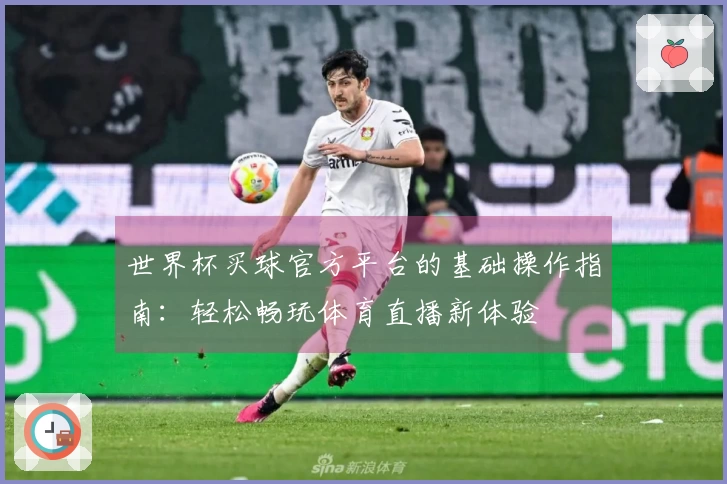 世界杯买球官方平台的基础操作指南：轻松畅玩体育直播新体验