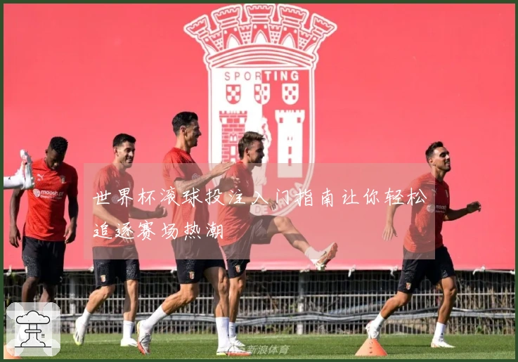世界杯滚球投注入门指南让你轻松追逐赛场热潮