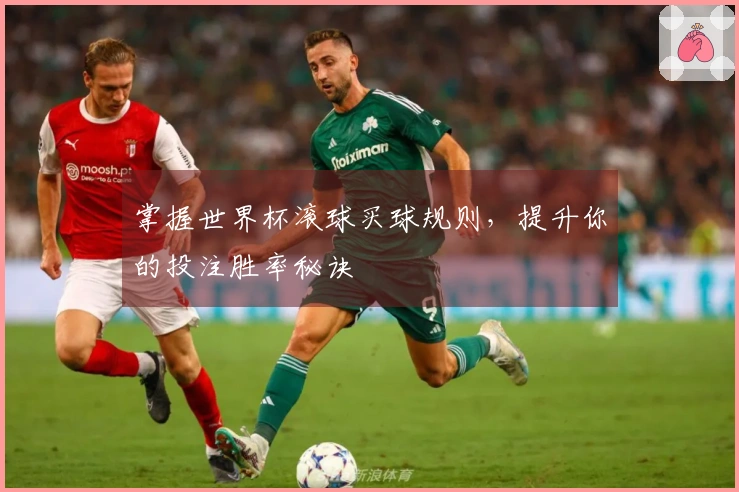 掌握世界杯滚球买球规则，提升你的投注胜率秘诀