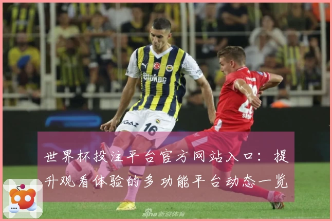 世界杯投注平台官方网站入口：提升观看体验的多功能平台动态一览