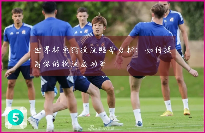 世界杯竞猜投注赔率分析：如何提高你的投注成功率