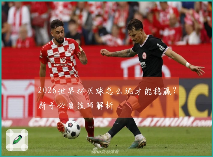 2026世界杯买球怎么玩才能稳赢？新手必看技巧解析