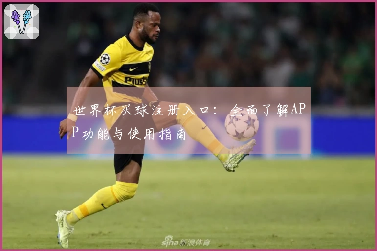 世界杯买球注册入口：全面了解APP功能与使用指南